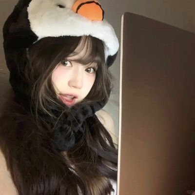 布格迪先生